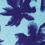 blue-palm